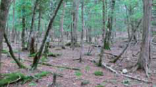 http://tour-up.jp/image/esk/107097_01