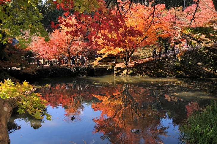 http://tour-up.jp/image/esk/111055_01