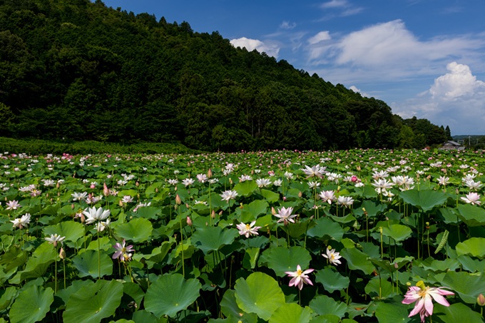 http://tour-up.jp/image/esk/111130_04