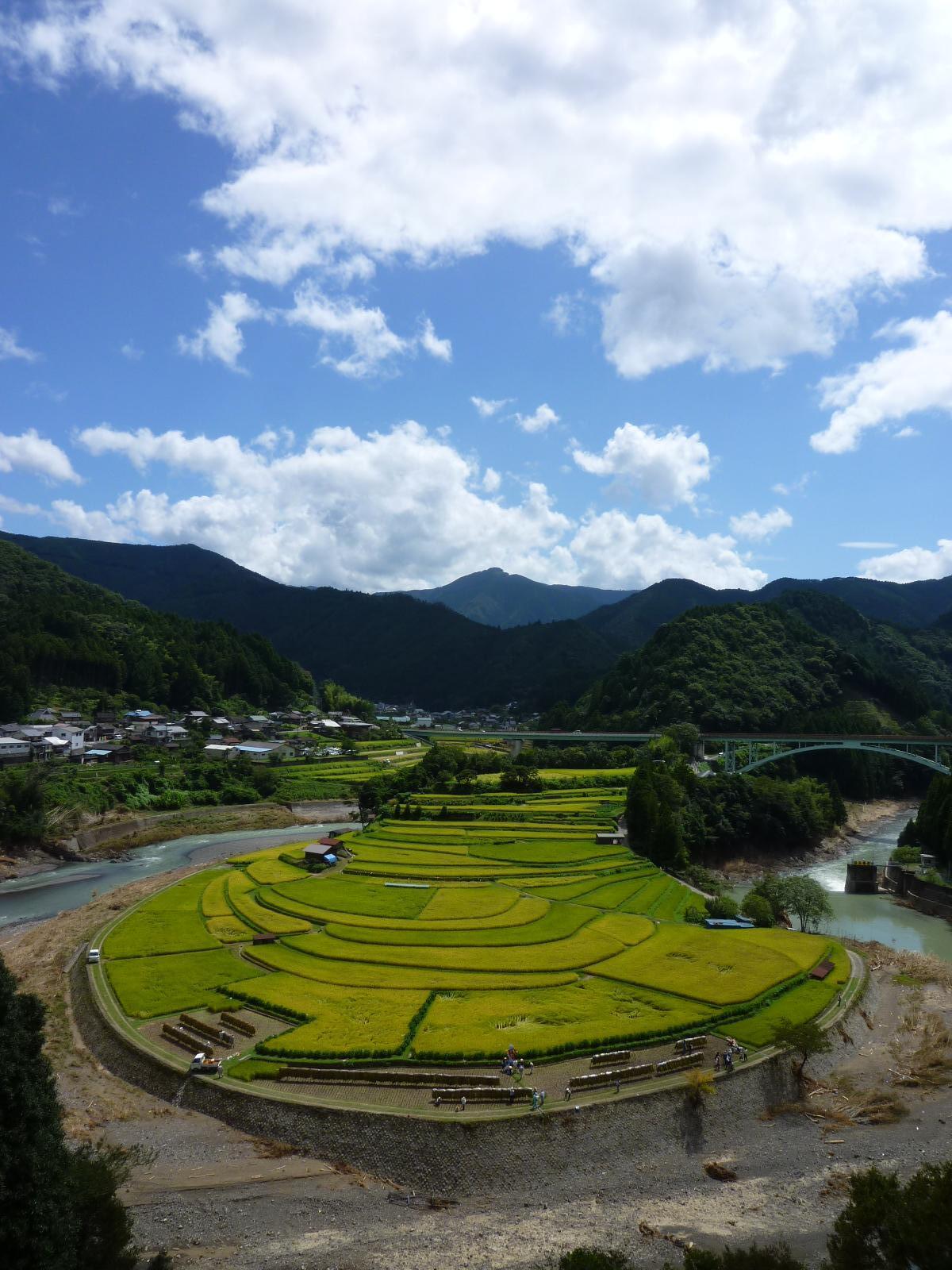 http://tour-up.jp/image/esk/syain1.jpg