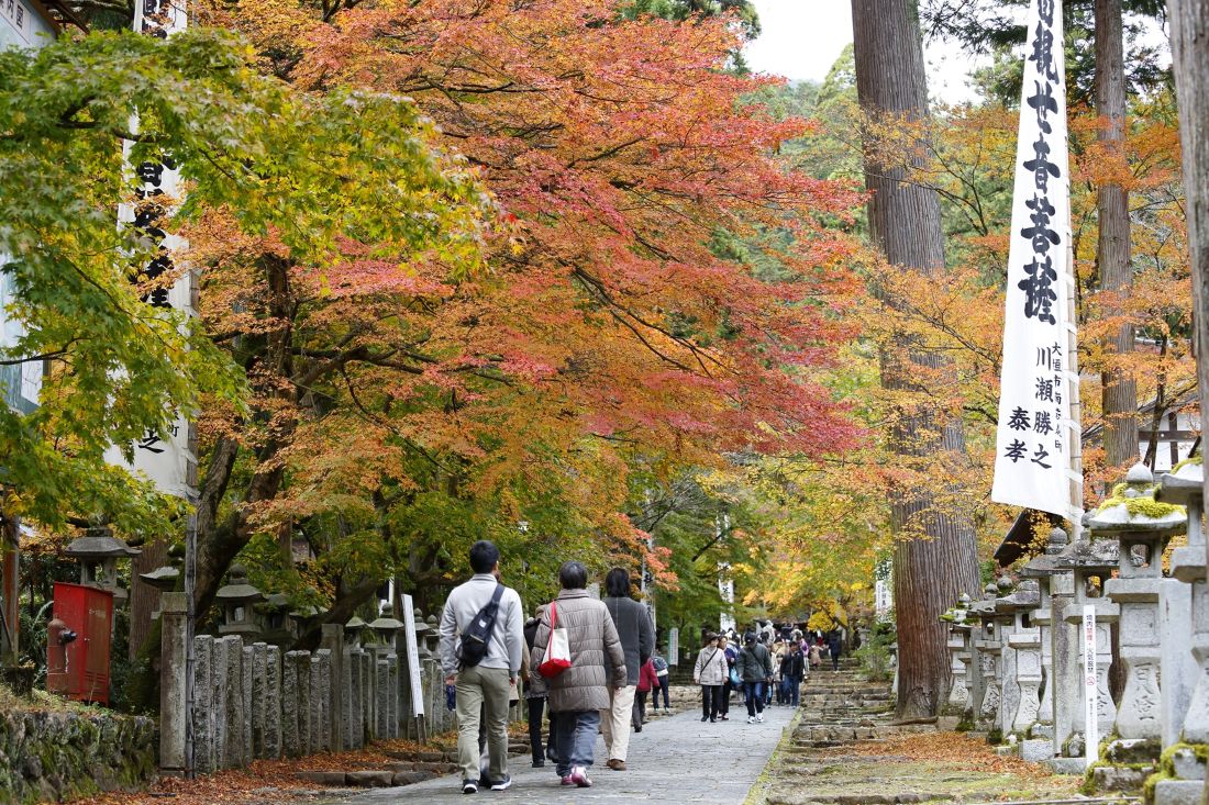 http://tour-up.jp/image/esk/111143-1