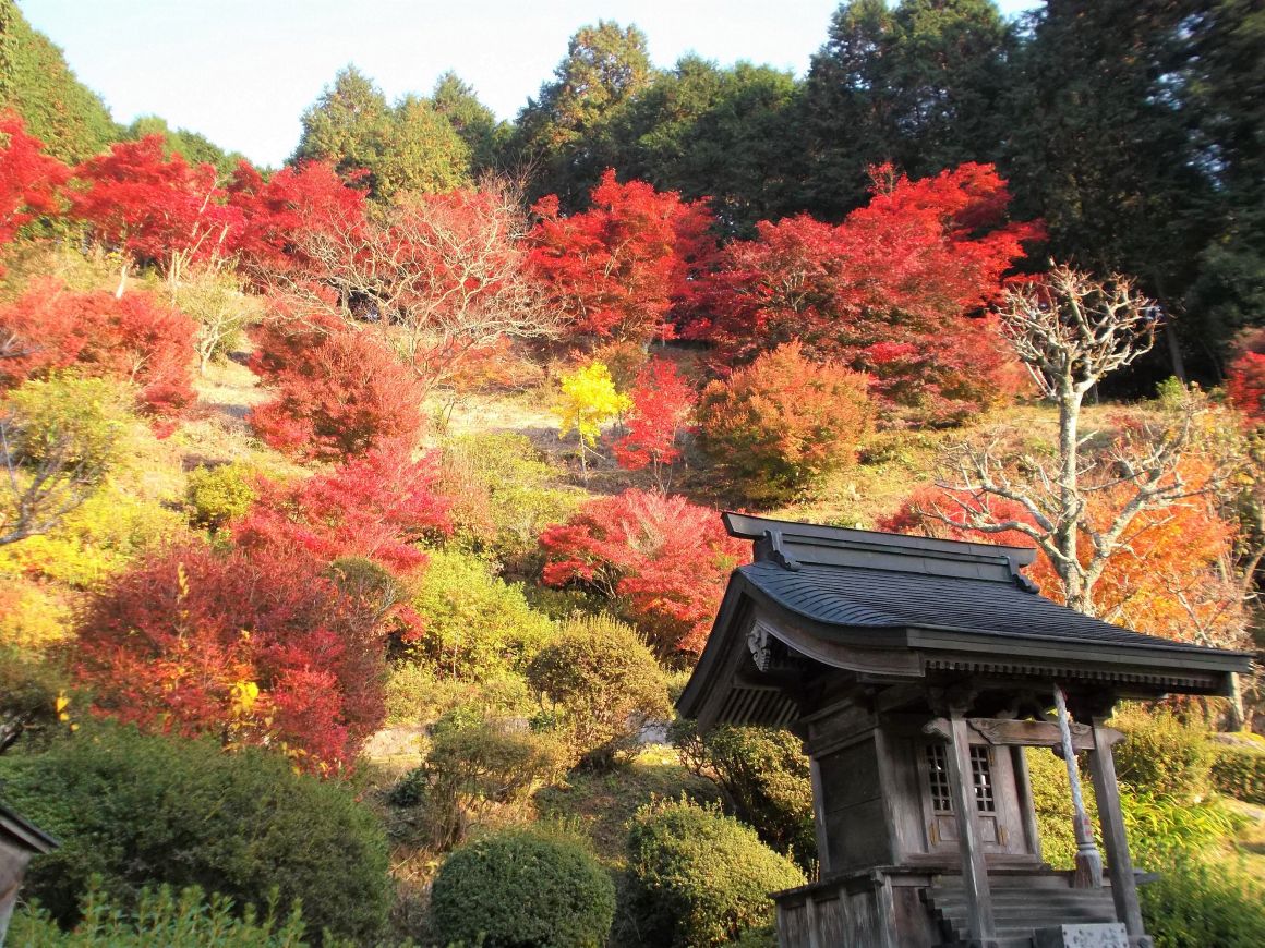 http://tour-up.jp/image/esk/111148-1