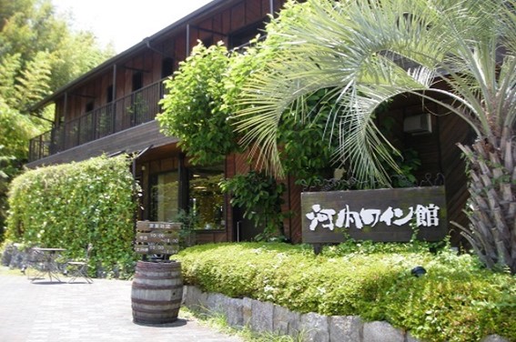日本有数のワインの産地　歴史ある大阪ワインを訪ねる