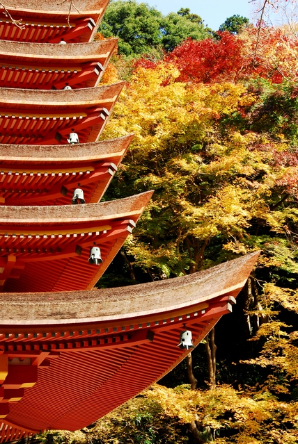 古都・奈良の寺社３大紅葉と鰻重