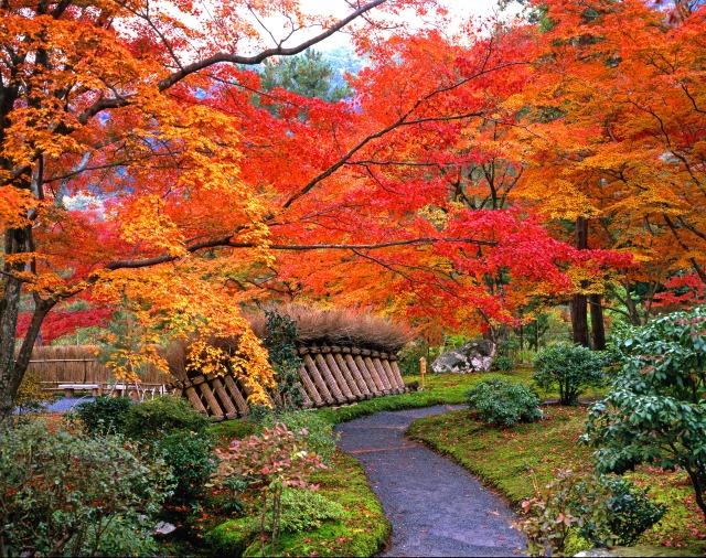 http://tour-up.jp/image/esk/101506_11