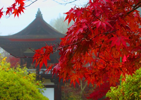 http://tour-up.jp/image/esk/yakusiji