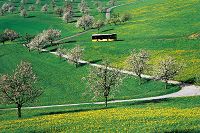 �դΥС�������