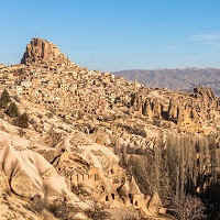 �ԥ����Х졼�ʥ��᡼����