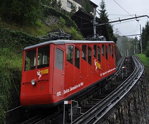 �ԥ�ȥ���Ŵƻ�ʥ��᡼����